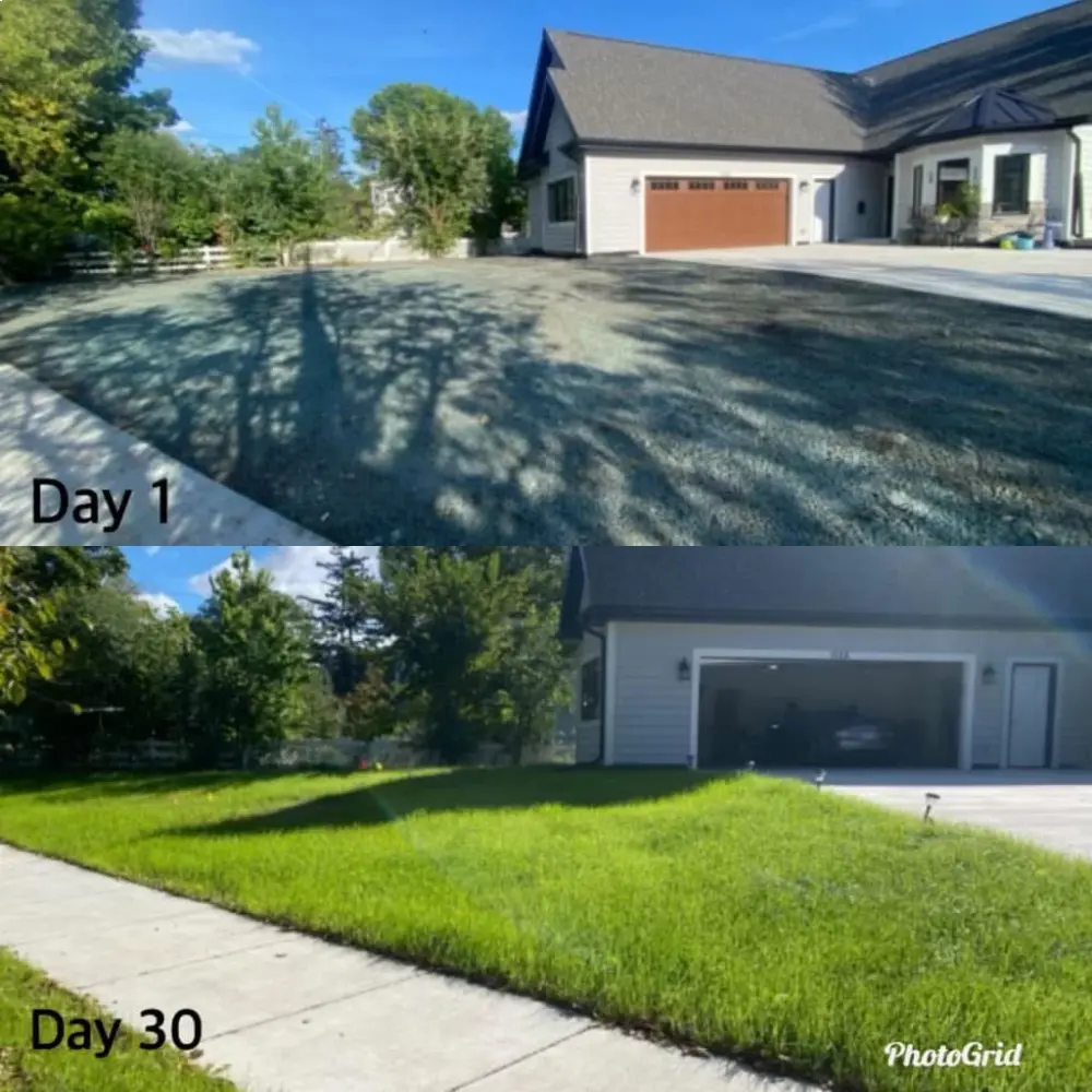 HydroSeeding And Soil Before After HydroSeeding And Soil Before After