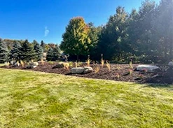 Backyard garden scaping