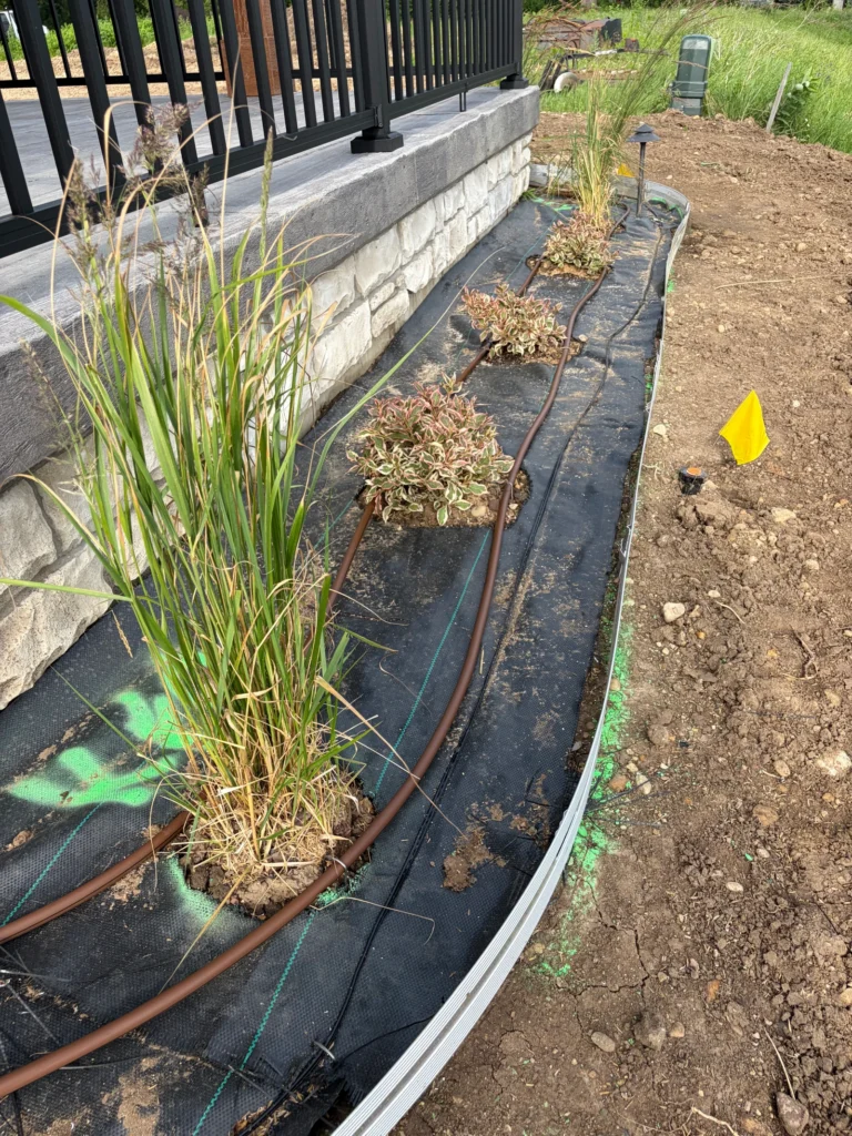 irrigated-plant-bed Irrigated Plant Bed