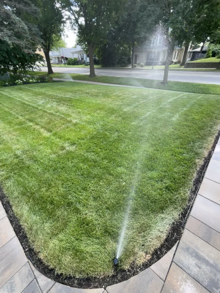 sprinkling-green-yard Sprinkling a green yard